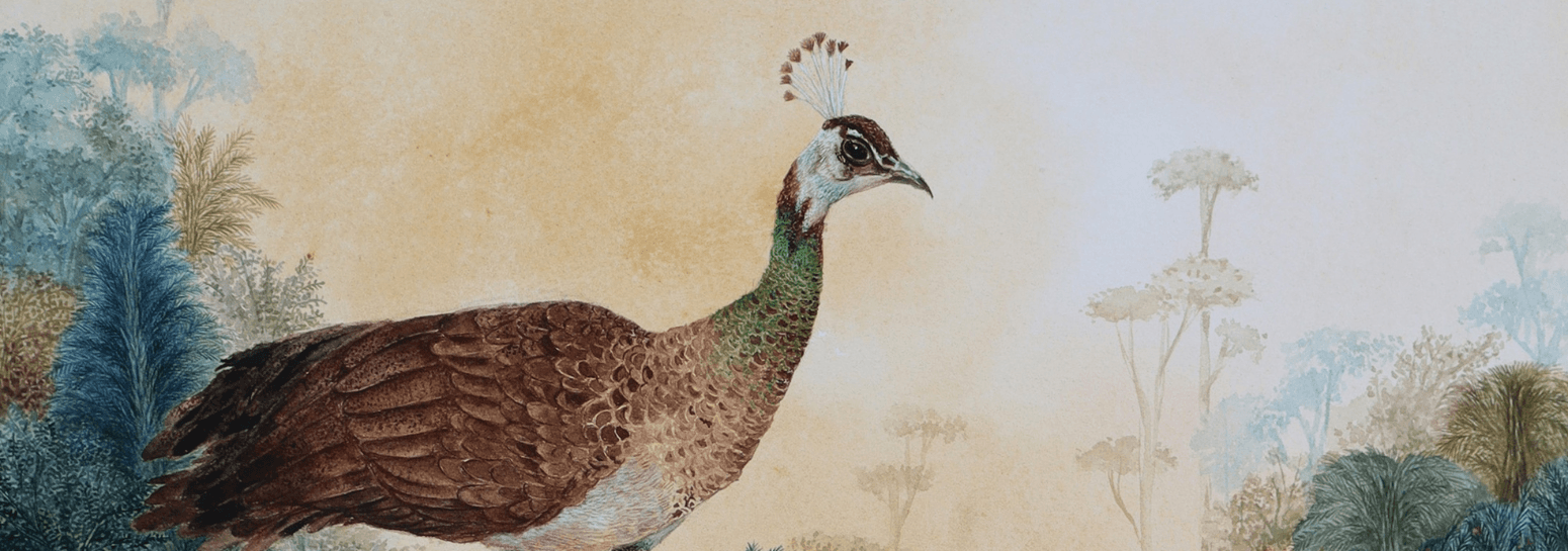 Pradnya  Khandgonkar