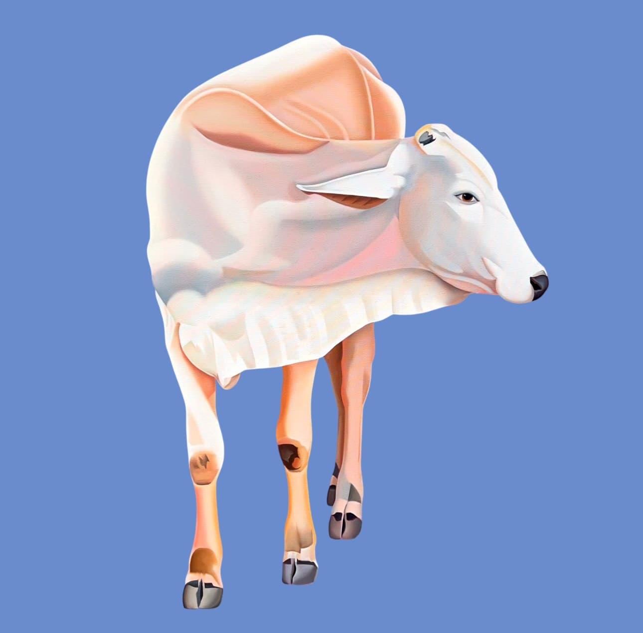 Bovine - I by Feroz Khan