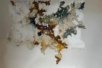 Ethereal by Madhuri Kathe