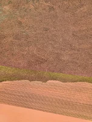 On the Skin of the Earth by Ekta Sharma