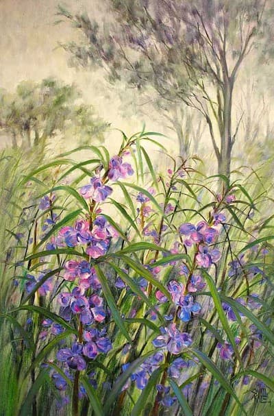 Blossom in the Wild