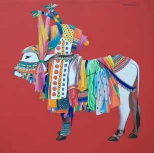 Gangireddu - XV by Mohammed Osman 