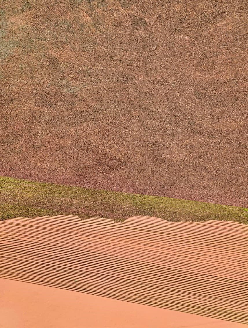 On the Skin of the Earth by Ekta Sharma