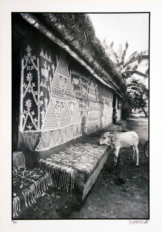 Village India by Jyothi Bhatt