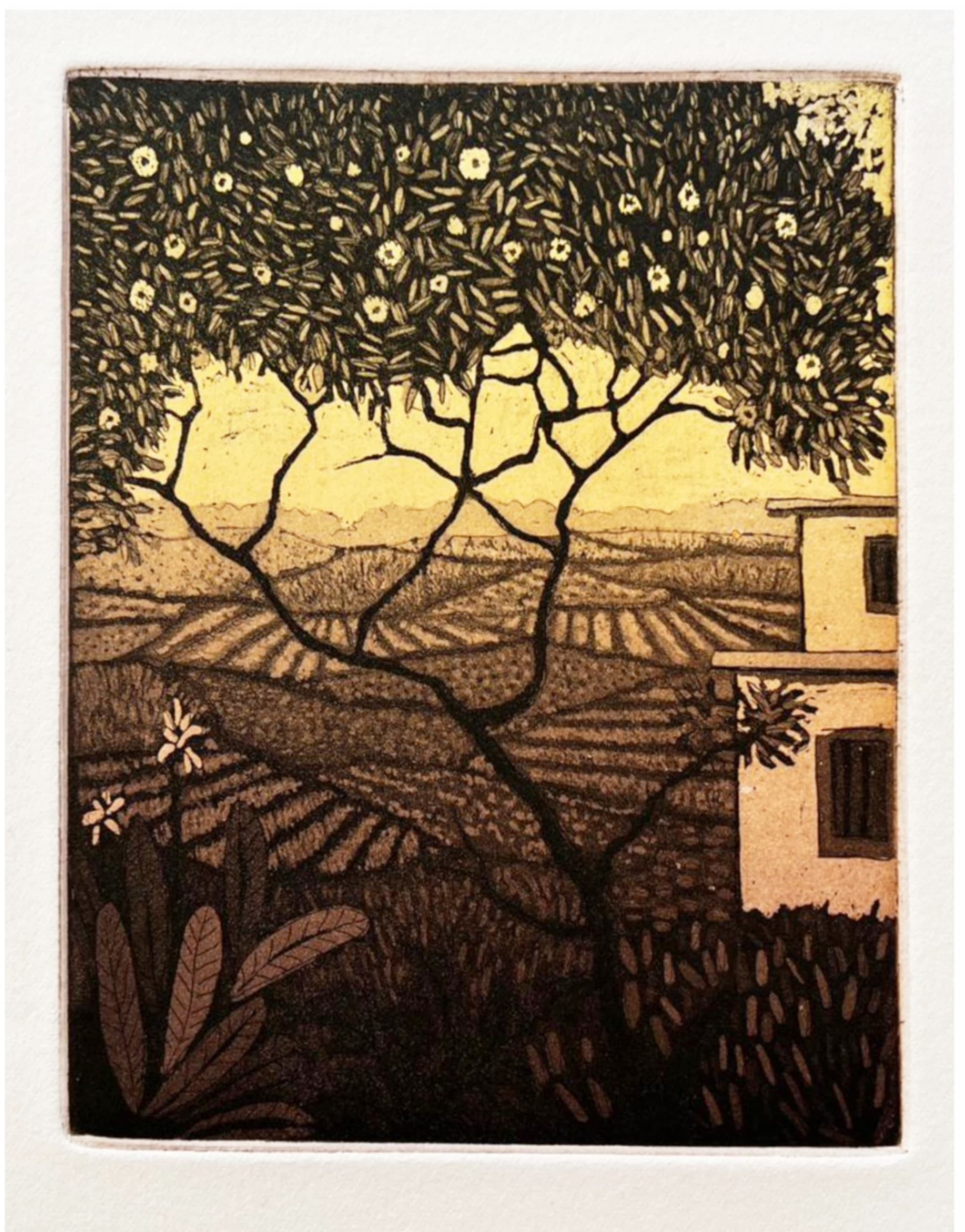 Evening by Biswajit Roy